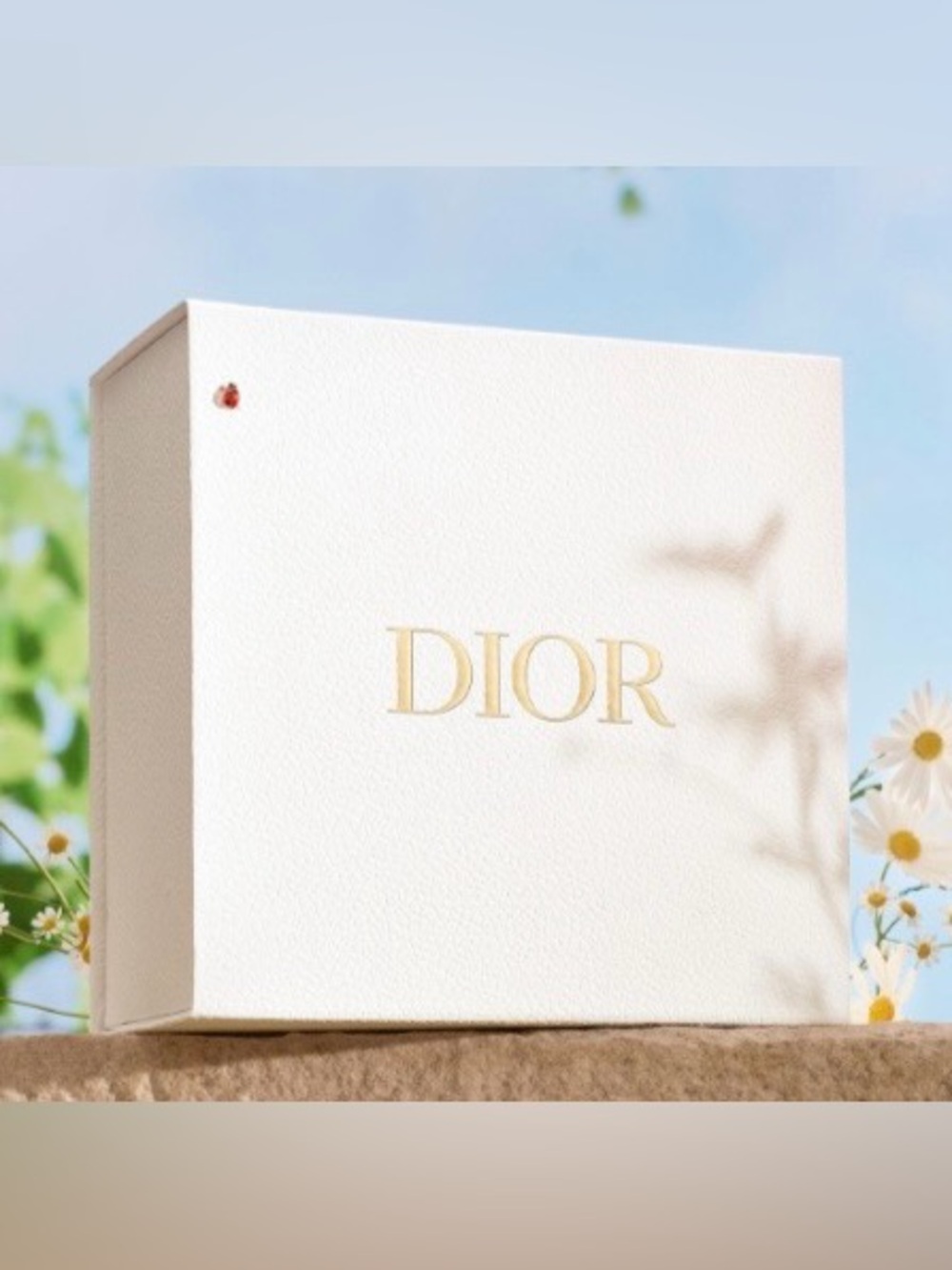 Dior New 2026 Prestige Set,Powder puffs, Large Gift Bag,Large Couture Box & More - Picture 8 of 16